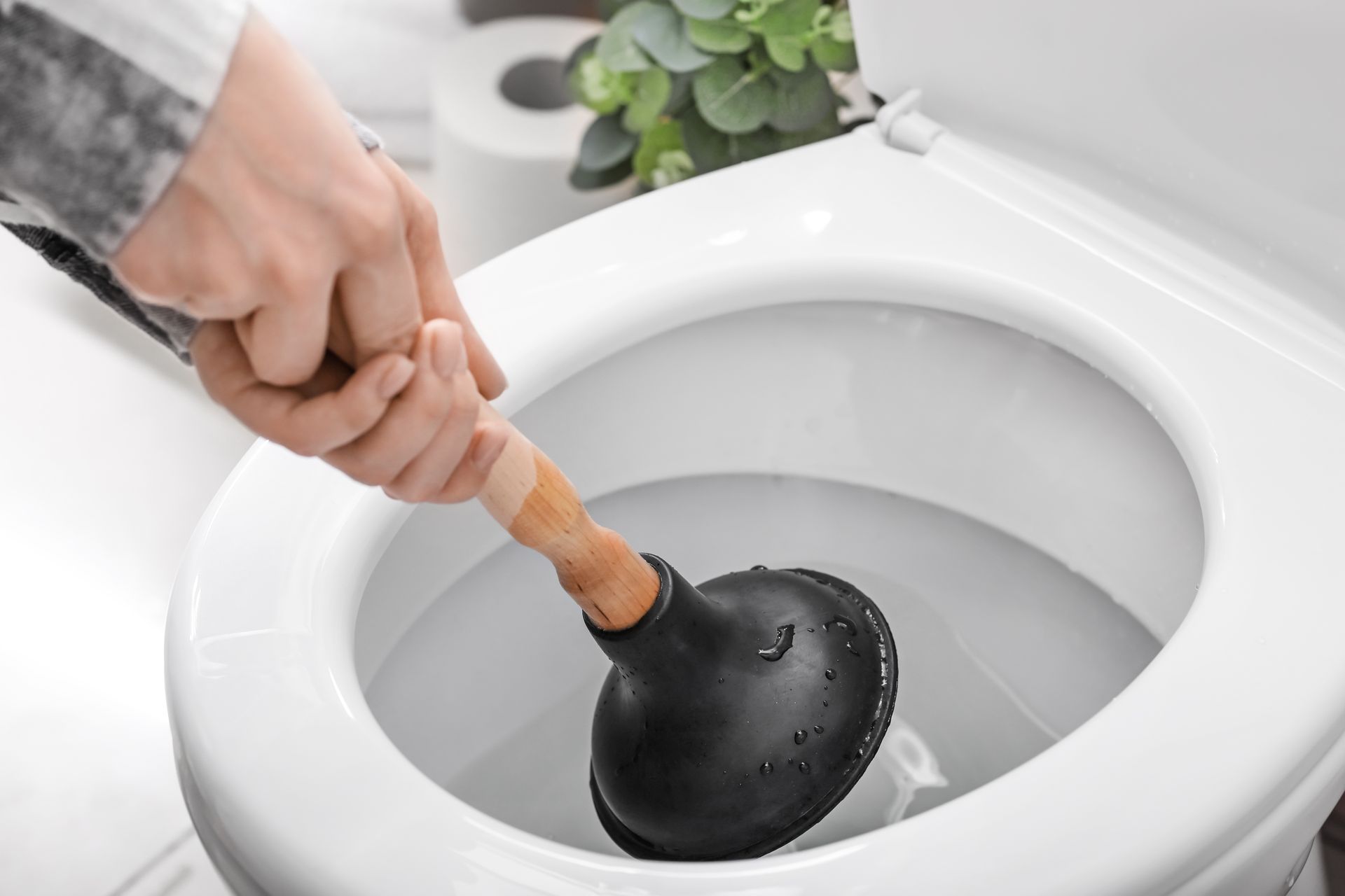 Clogged toilet solutions