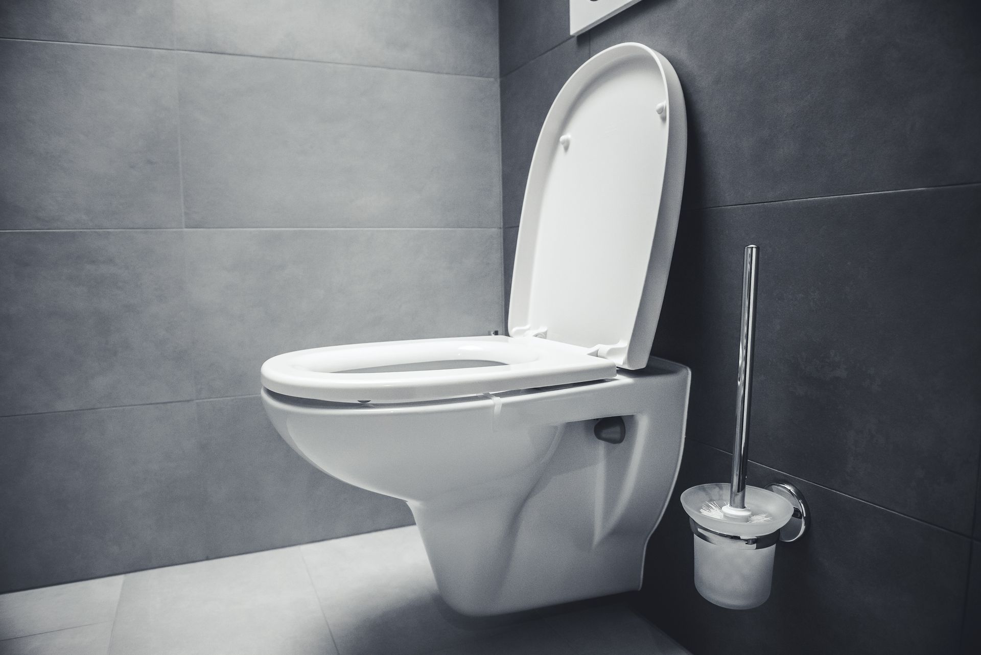 Expert toilet repair services